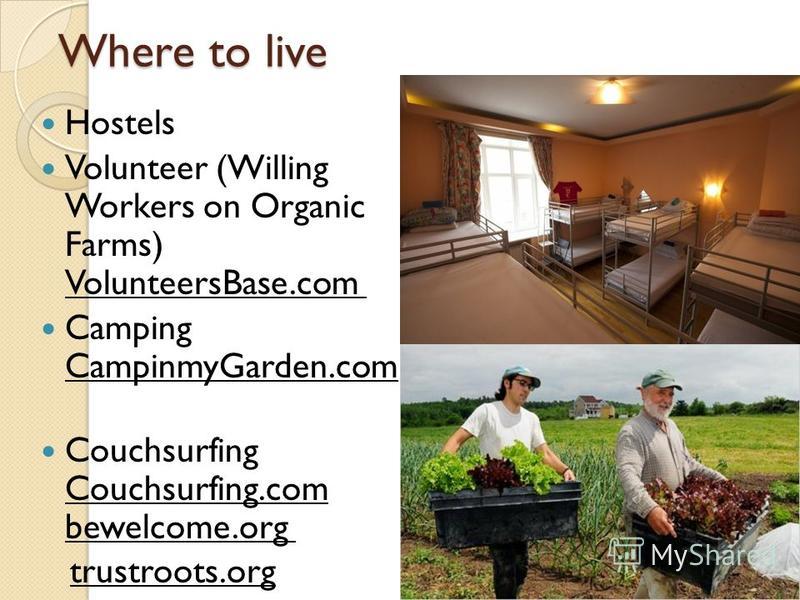 Where to live Hostels Volunteer (Willing Workers on Organic Farms) VolunteersBase.com Camping CampinmyGarden.com Couchsurfing Couchsurfing.com bewelcome.org trustroots.org