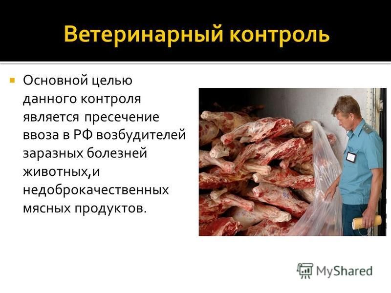 Основной целью данного контроля является пресечение ввоза в РФ возбудителей заразных болезней животных,и недоброкачественных мясных продуктов.