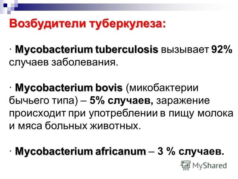 Возбудители туберкулеза: Mycobacterium tuberculosis Mycobacterium bovis Mycobacterium africanum Возбудители туберкулеза: · Mycobacterium tuberculosis вызывает 92% случаев заболевания. · Mycobacterium bovis (микобактерии бычьего типа) – 5% случаев, за