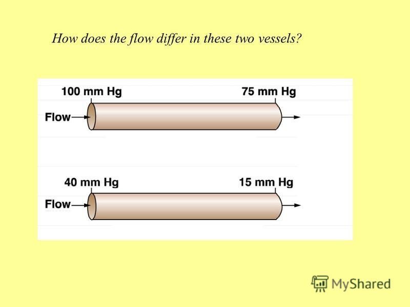 How does the flow differ in these two vessels?