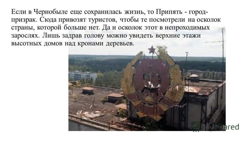 Если в Чернобыле еще сохранилась жизнь, то Припять - город- призрак. Сюда привозят туристов, чтобы те посмотрели на осколок страны, которой больше нет. Да и осколок этот в непроходимых зарослях. Лишь задрав голову можно увидеть верхние этажи высотных