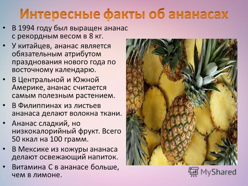 В 1994 году был выращен ананас с рекордным весом в 8 кг. У китайцев, ананас является обязательным атрибутом празднования нового года по восточному календарю. В Центральной и Южной Америке, ананас считается самым полезным растением. В Филиппинах из ли