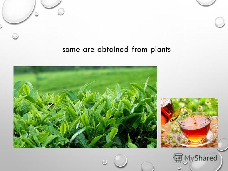 some are obtained from plants
