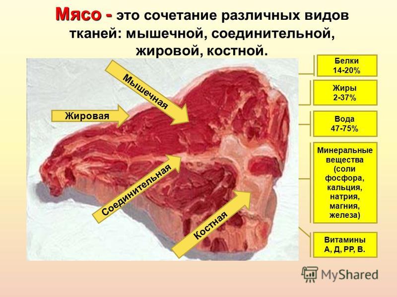 Мясо - это сочетание различных видов тканей: мышечной, соединительной, жировой, костной. Белки 14-20% Жиры 2-37% Вода 47-75% Минеральные вещества (соли фосфора, кальция, натрия, магния, железа) Витамины А, Д, РР, В. Жировая Соединительная Мышечная Ко