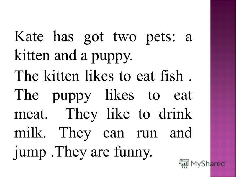 Kate has got two pets: a kitten and a puppy. The kitten likes to eat fish. The puppy likes to eat meat. They like to drink milk. They can run and jump.They are funny.