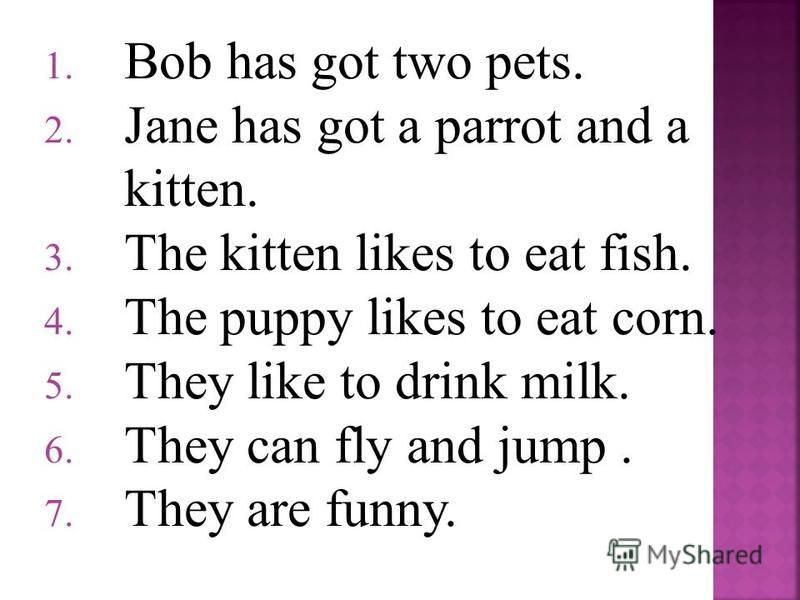 1. Bob has got two pets. 2. Jane has got a parrot and a kitten. 3. The kitten likes to eat fish. 4. The puppy likes to eat corn. 5. They like to drink milk. 6. They can fly and jump. 7. They are funny.