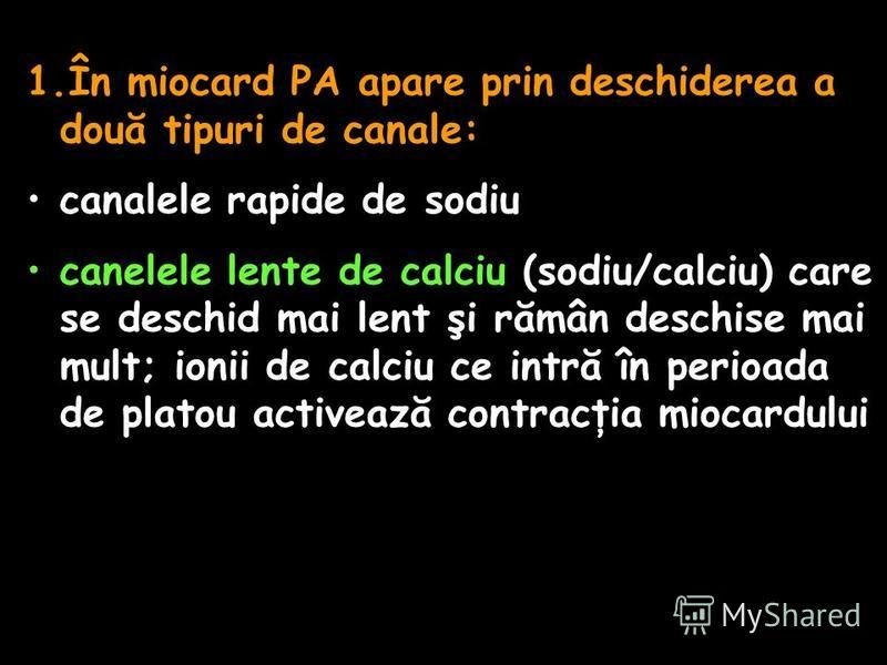 1.În miocard PA apare prin deschiderea a două tipuri de canale: canalele rapide de sodiu canelele lente de calciu (sodiu/calciu) care se deschid mai lent şi rămân deschise mai mult; ionii de calciu ce intră în perioada de platou activează contracţia 
