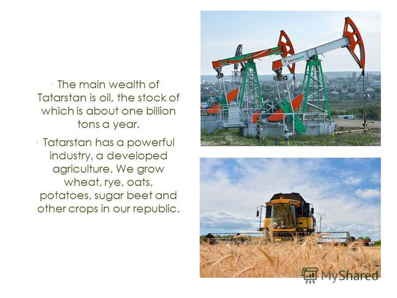 The main wealth of Tatarstan is oil, the stock of which is about one billion tons a year. Tatarstan has a powerful industry, a developed agriculture. We grow wheat, rye, oats, potatoes, sugar beet and other crops in our republic.