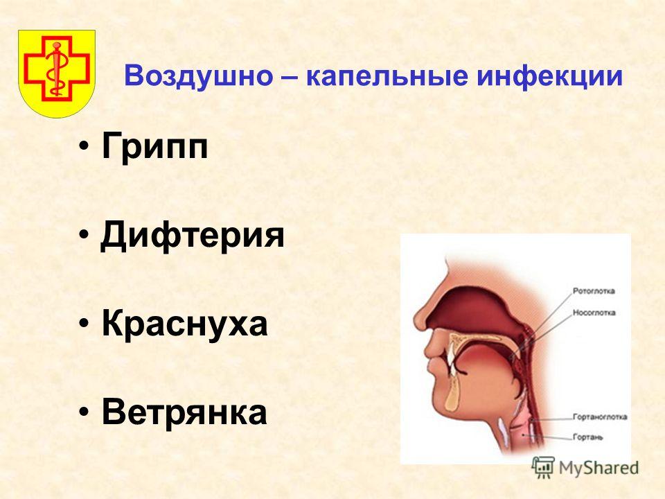 Лечении гепатита с в германии