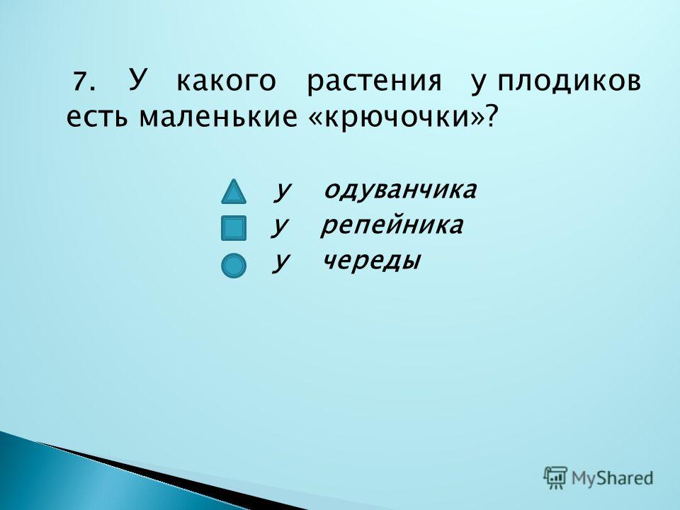 Плоды и семена репейника череды одуванчика Плоды и семена репейника череды одуванчика