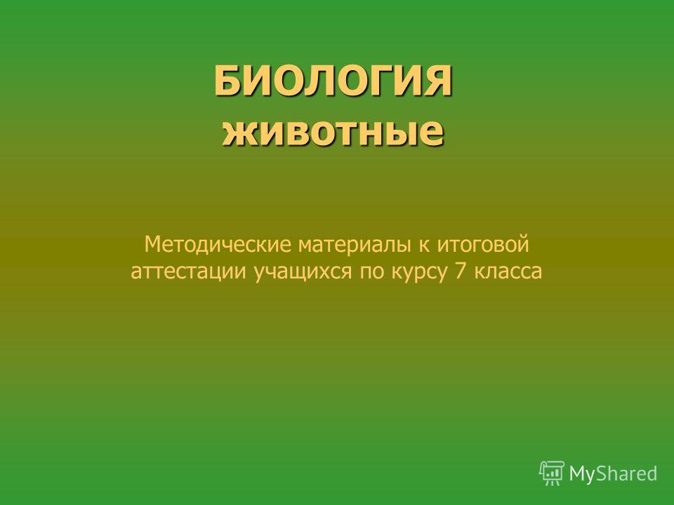 суспензия от паразитов суспензия от паразитов