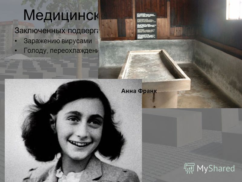 Презентация Жертвы Холокоста