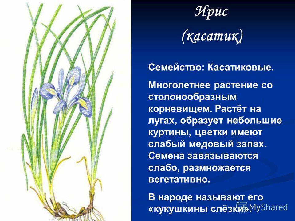 Дачник Новороссии Государственное предприятие «Почта Донбасса» Официальный сайт Газета «Новороссия»