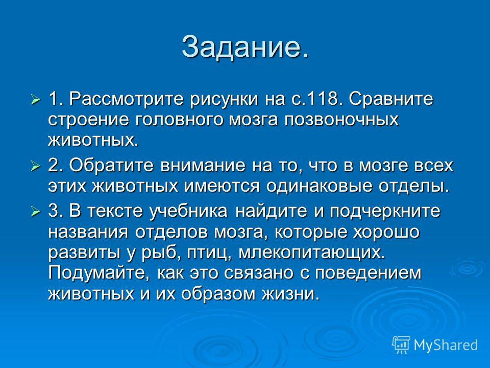 Сложное поведение птиц связано с развитием Сложное поведение птиц связано с развитием