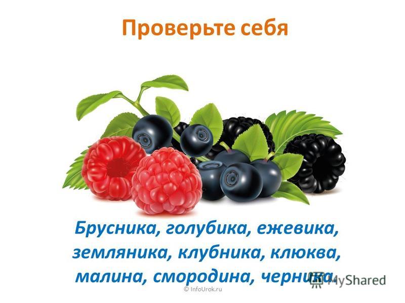 © InfoUrok.ru Расположите в алфавитном порядке Ежевика, клубника, смородина, малина, земляника, брусника, черника, клюква, голубика. Ягоды