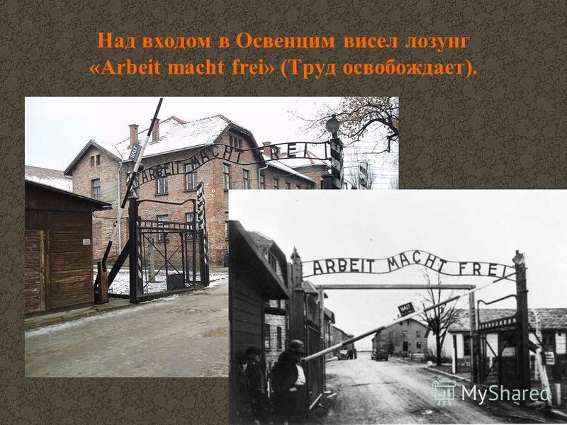 Над входом в Освенцим висел лозунг «Arbeit macht frei» (Труд освобождает).