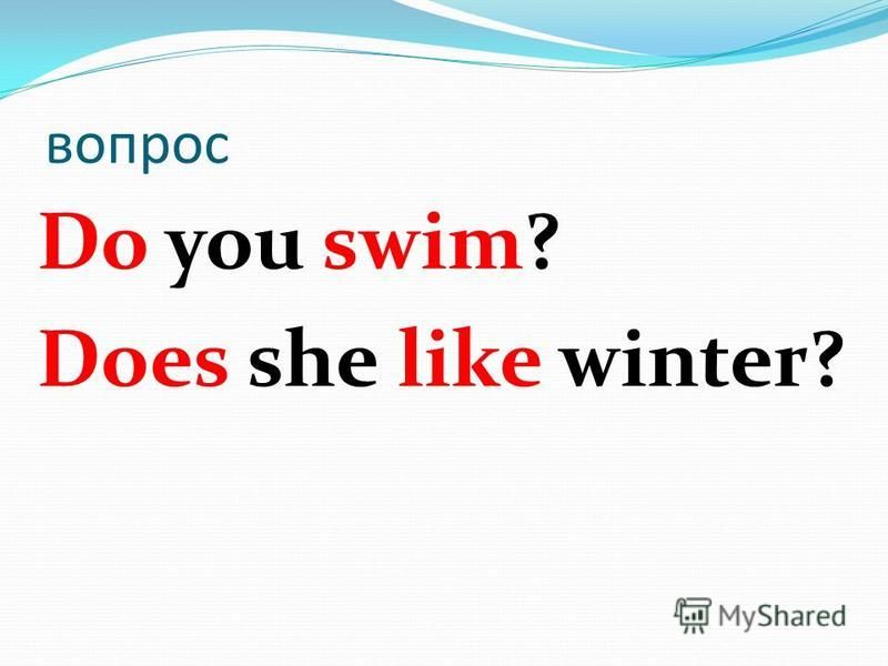 вопрос Do you swim? Does she like winter?