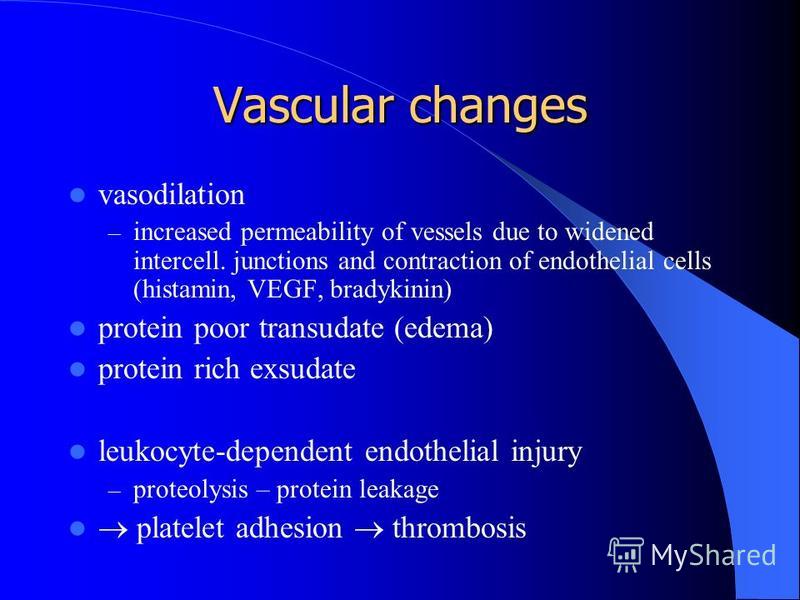 Vascular changes vasodilation – increased permeability of vessels due to widened intercell. junctions and contraction of endothelial cells (histamin, VEGF, bradykinin) protein poor transudate (edema) protein rich exsudate leukocyte-dependent endothel