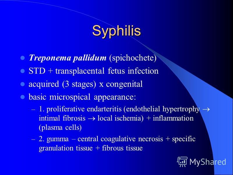 Syphilis Treponema pallidum (spichochete) STD + transplacental fetus infection acquired (3 stages) x congenital basic microspical appearance: – 1. proliferative endarteritis (endothelial hypertrophy intimal fibrosis local ischemia) + inflammation (pl