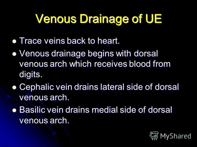 Venous Drainage of UE Trace veins back to heart. Trace veins back to heart. Venous drainage begins with dorsal venous arch which receives blood from digits. Venous drainage begins with dorsal venous arch which receives blood from digits. Cephalic vei