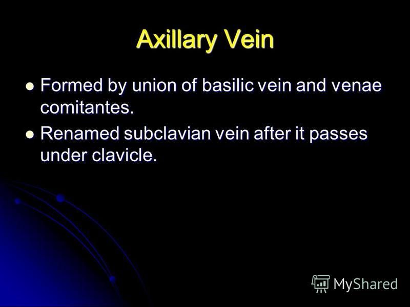 Axillary Vein Formed by union of basilic vein and venae comitantes. Formed by union of basilic vein and venae comitantes. Renamed subclavian vein after it passes under clavicle. Renamed subclavian vein after it passes under clavicle.