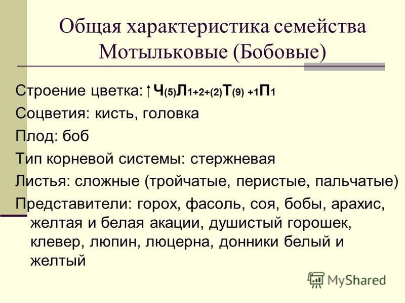Бобовые растения - скачать презентацию