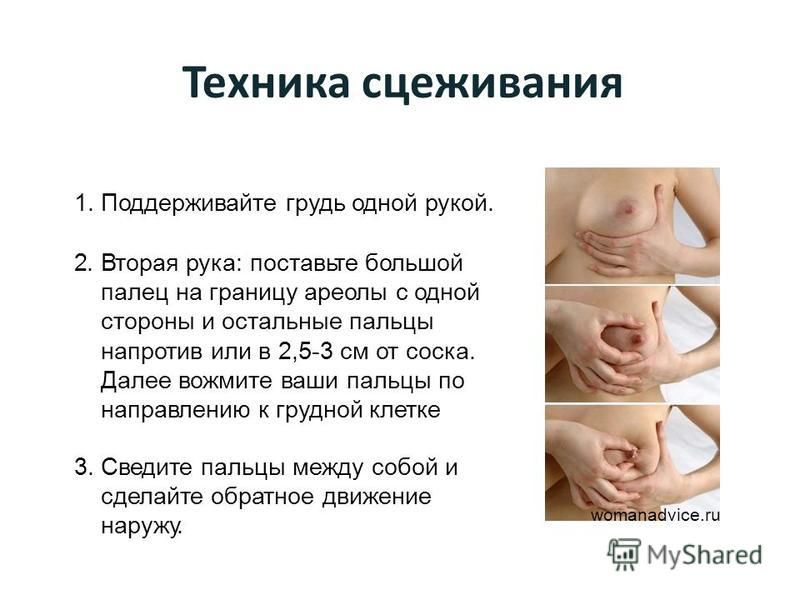 Техника сцеживания womanadvice.ru 1. Поддерживайте грудь одной рукой. 2. Вторая рука: поставьте большой палец на границу ареолы с одной стороны и остальные пальцы напротив или в 2,5-3 см от соска. Далее вожмите ваши пальцы по направлению к грудной кл