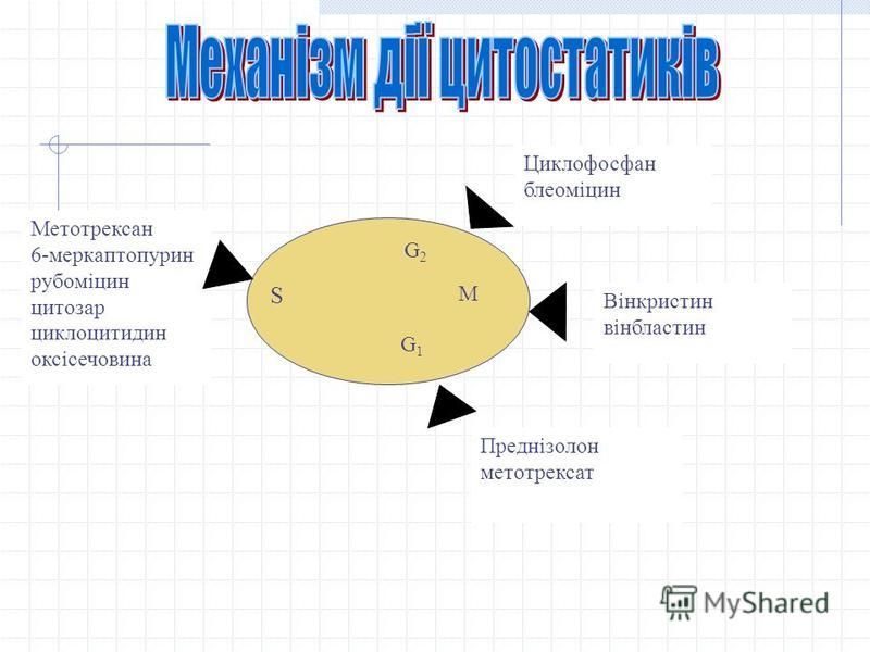 Метотрексан 6-меркаптопурин рубоміцин цитозар циклоцитидин оксісечовина G 2 S M G1G1 Циклофосфан блеоміцин Вінкристин вінбластин Преднізолон метотрексат
