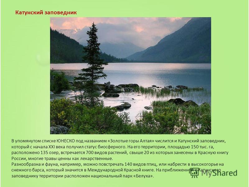 Катунский заповедник В упомянутом списке ЮНЕСКО под названием «Золотые горы Алтая» числится и Катунский заповедник, который с начала ХХI века получил статус биосферного. На его территории, площадью 150 тыс. га, расположено 135 озер, встречается 700 в