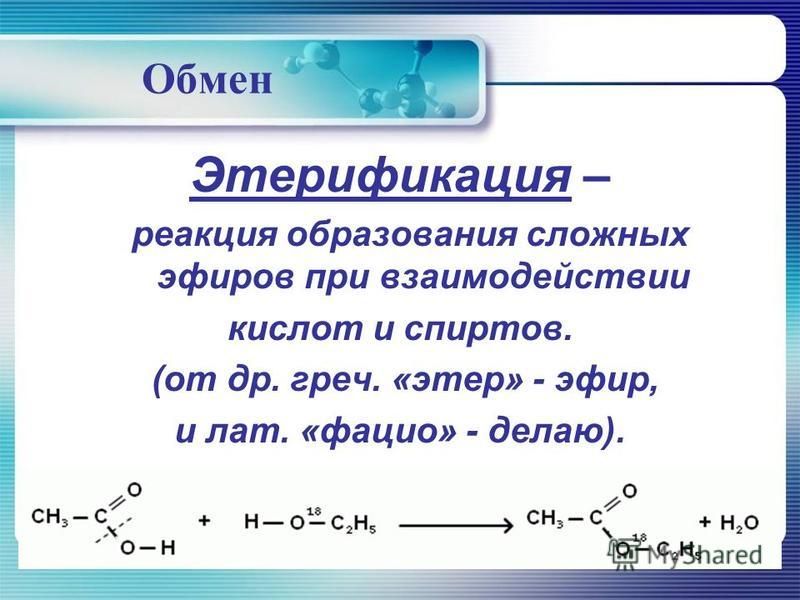 Обмен Этерификация – реакция образования сложных эфиров при взаимодействии кислот и спиртов. (от др. греч. «этер» - эфир, и лат. «фацио» - делаю).