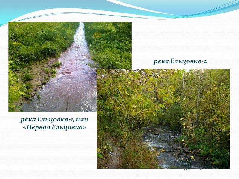 река Ельцовка-1, или «Первая Ельцовка» река Ельцовка-2