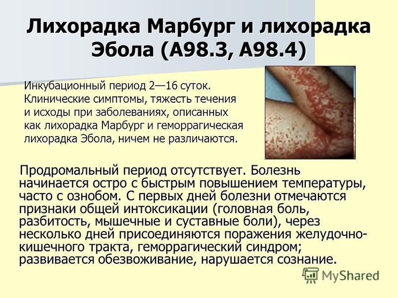 ebola hemorrhagic fever essay Ebola hemorrhagic febrility ( ebola hf ) is a terrible often-fatal disease in worlds and nonhuman primatess ( monkeys and pan troglodytess ) that has appeared periodically since its initial acknowledgment in 1976. ebola hemorrhagic fever essay Ebola hemorrhagic febrility ( ebola hf ) is a terrible often-fatal disease in worlds and nonhuman primatess ( monkeys and pan troglodytess ) that has appeared periodically since its initial acknowledgment in 1976.