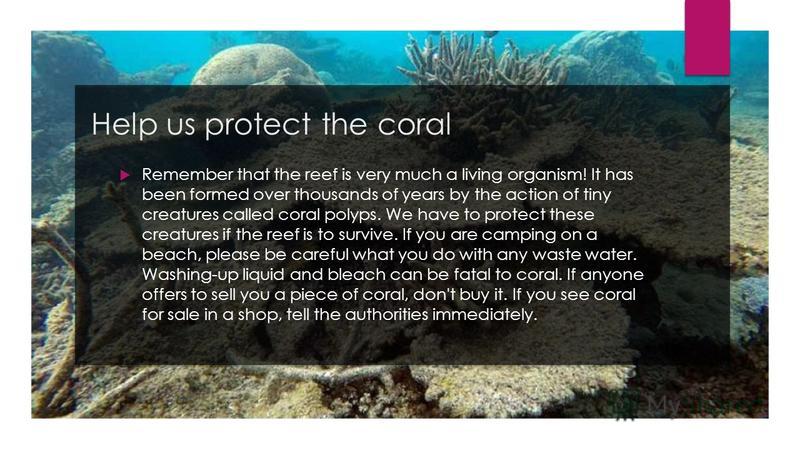 Help us protect the coral Remember that the reef is very much a living organism! It has been formed over thousands of years by the action of tiny creatures called coral polyps. We have to protect these creatures if the reef is to survive. If you are 