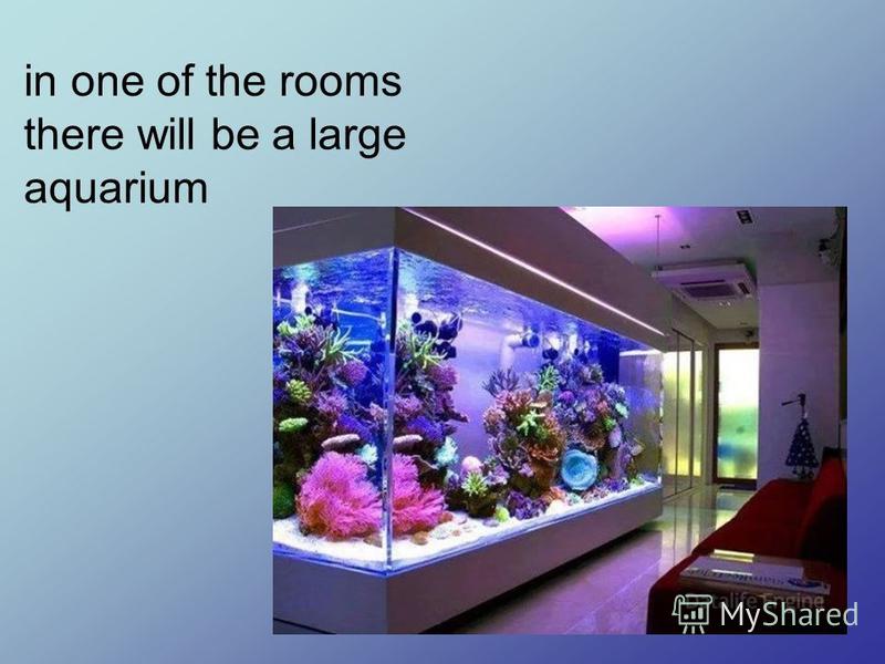 in one of the rooms there will be a large aquarium