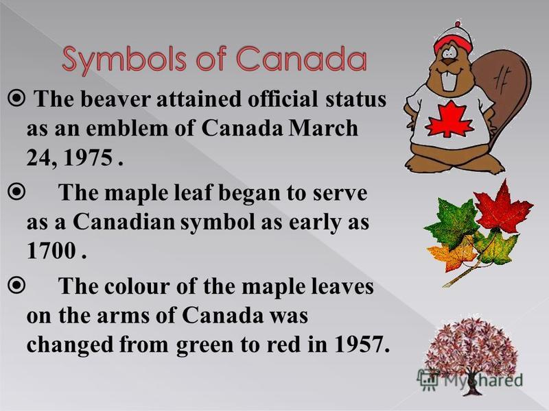 The beaver attained official status as an emblem of Canada March 24, 1975. The maple leaf began to serve as a Canadian symbol as early as 1700. The colour of the maple leaves on the arms of Canada was changed from green to red in 1957.