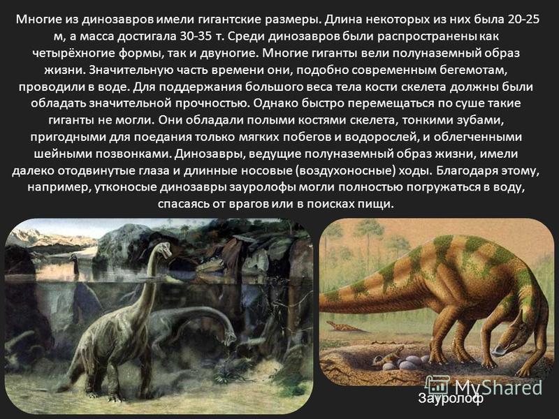 Многие из динозавров имели гигантские размеры. Длина некоторых из них была 20-25 м, а масса достигала 30-35 т. Среди динозавров были распространены как четырёхногие формы, так и двуногие. Многие гиганты вели полу наземный образ жизни. Значительную ча