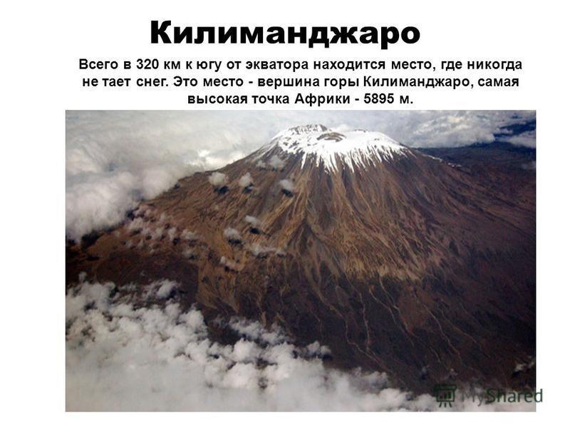 Килиманджаро Всего в 320 км к югу от экватора находится место, где никогда не тает снег. Это место - вершина горы Килиманджаро, самая высокая точка Африки - 5895 м.