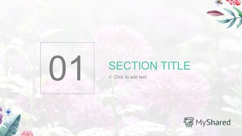 01 SECTION TITLE Click to add text.