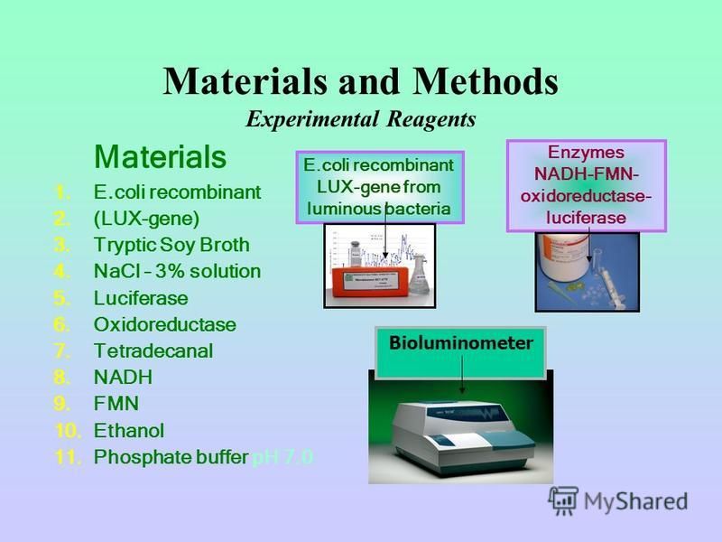 Materials and Methods Experimental Reagents Materials 1.E.coli recombinant 2.(LUX-gene) 3. Tryptic Soy Broth 4. NaCl – 3% solution 5. Luciferase 6. Oxidoreductase 7. Tetradecanal 8. NADH 9. FMN 10. Ethanol 11. Phosphate buffer pH 7.0 Enzymes NADH-FMN