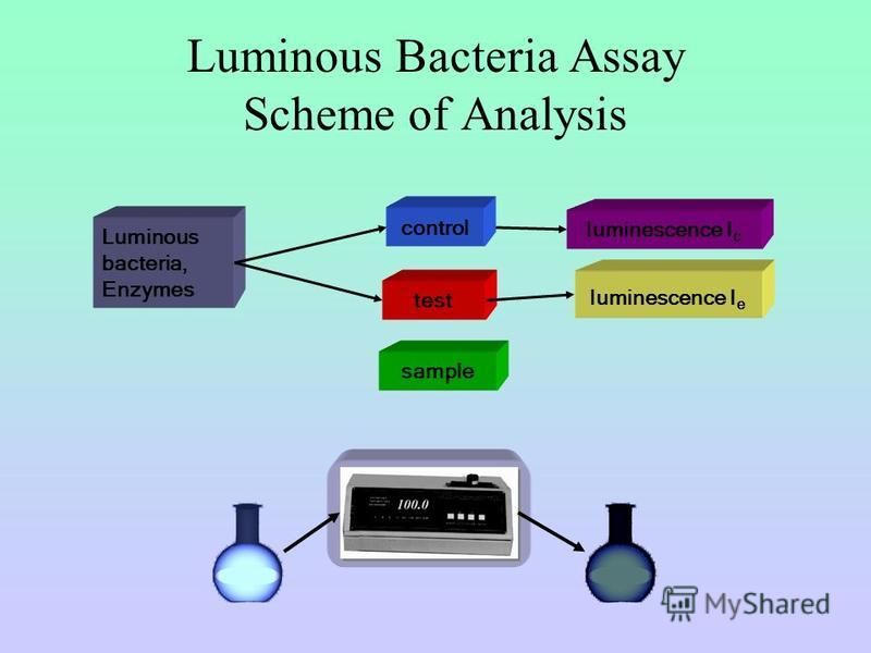 Luminous Bacteria Assay Scheme of Analysis luminescence I с Luminous bacteria, Enzymes control test luminescence I е sample