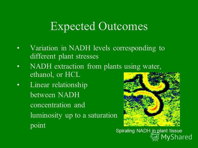 Expected Outcomes Variation in NADH levels corresponding to different plant stresses NADH extraction from plants using water, ethanol, or HCL Linear relationship between NADH concentration and luminosity up to a saturation point Spiraling NADH in pla
