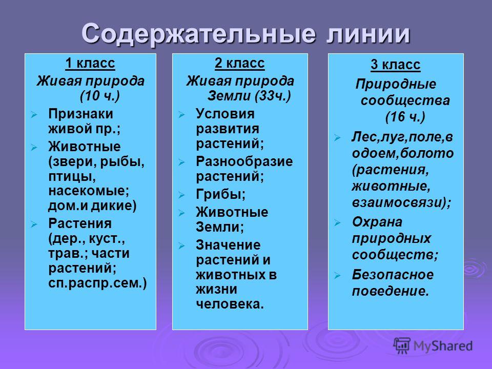 Программа по внеурочной деятельности лепка из соленого теста