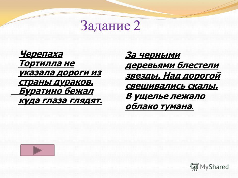 Черепаха тортилла не указала дороги Черепаха тортилла не указала дороги