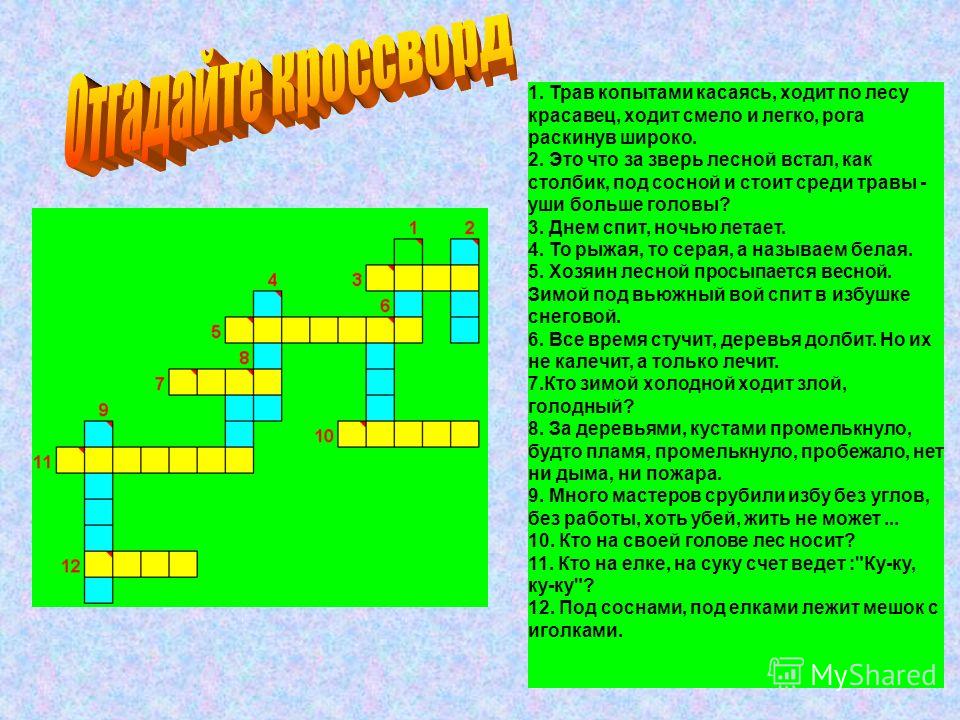 Днем спит ночью летает что это Днем спит ночью летает что это