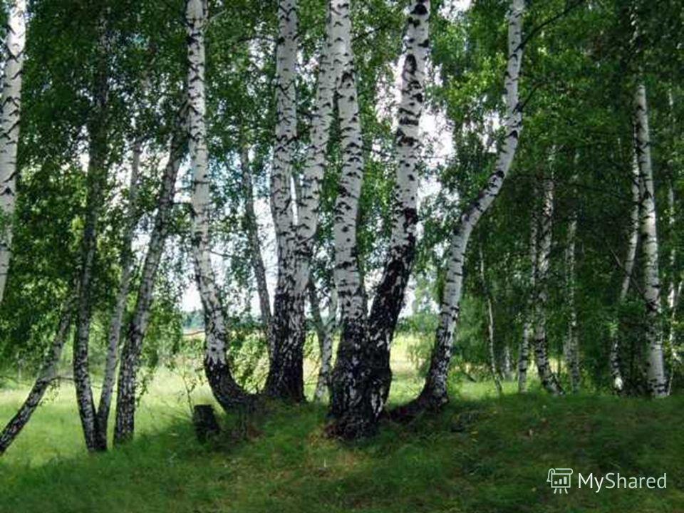 Как не дать наступить белой горячке