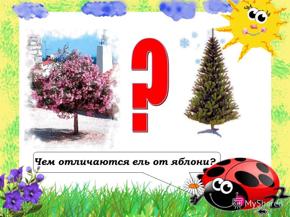 Планирование по обж в средней группе