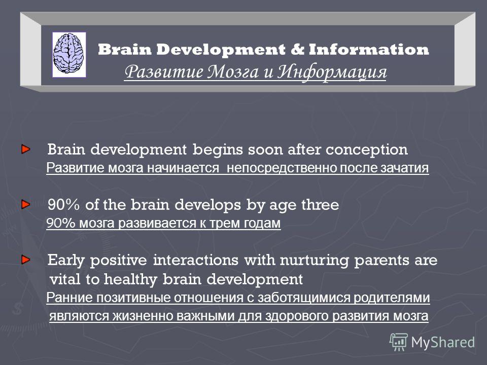 Intelligence boosting products photo 1