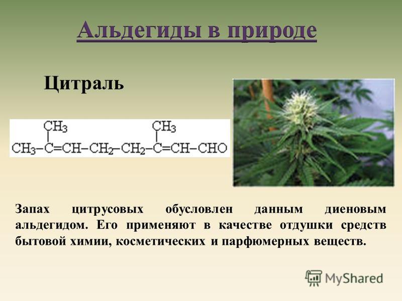 Запах цитрусовых обусловлен данным диеновым альдегидом. Его применяют в качестве отдушки средств бытовой химии, косметических и парфюмерных веществ. Цитраль