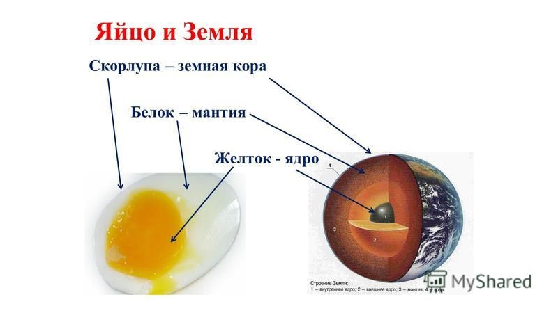 Яйцо и Земля Скорлупа – земная кора Белок – мантия Желток - ядро