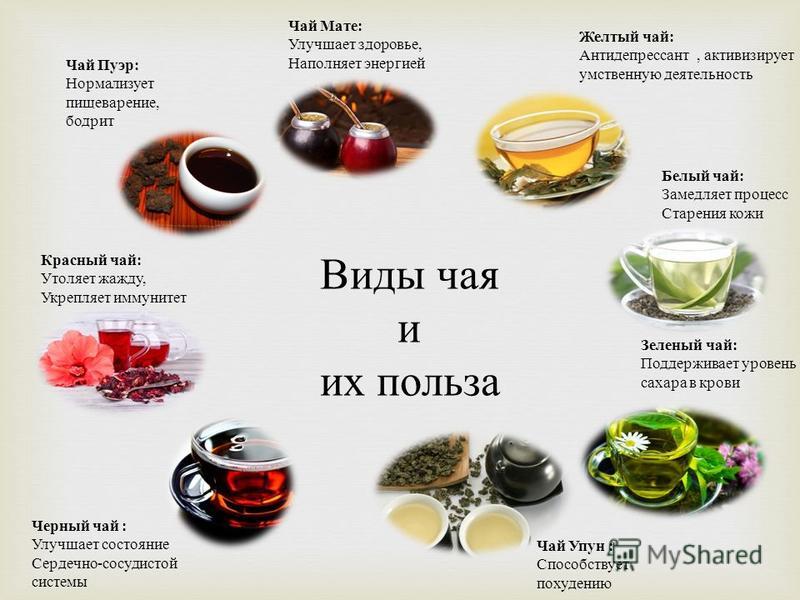 Чай Пуэр : Нормализует пищеварение, бодрит Чай Мате : Улучшает здоровье, Наполняет энергией Белый чай : Замедляет процесс Старения кожи Красный чай : Утоляет жажду, Укрепляет иммунитет Зеленый чай : Поддерживает уровень сахара в крови Чай Упун : Спос